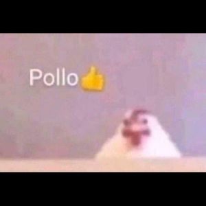 Meet your Posher, Jack